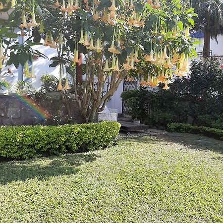 Figtree Guesthouse มาปูโต ภายนอก รูปภาพ