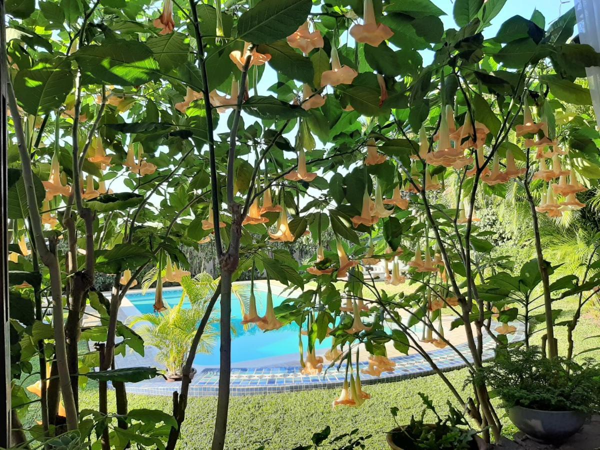 Figtree Guesthouse มาปูโต ภายนอก รูปภาพ