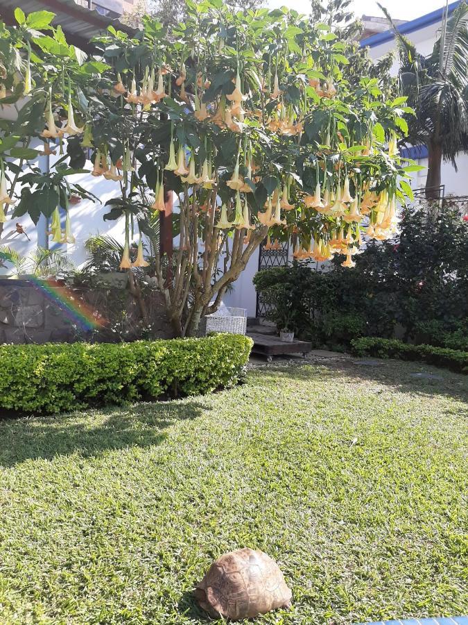 Figtree Guesthouse มาปูโต ภายนอก รูปภาพ