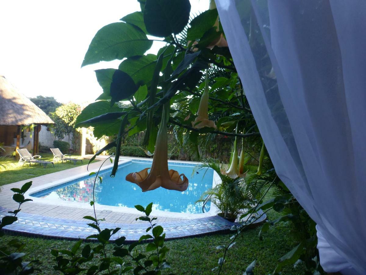 Figtree Guesthouse มาปูโต ภายนอก รูปภาพ