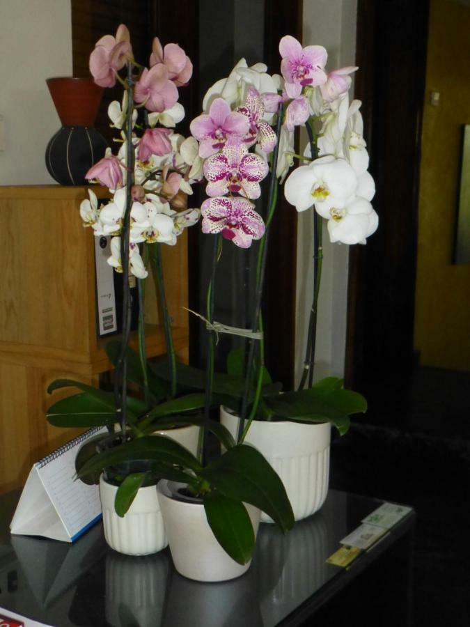 Figtree Guesthouse มาปูโต ภายนอก รูปภาพ